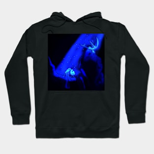 I remember that you liked when it snowed... - Wendigo series Hoodie